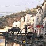 Huang Cun
